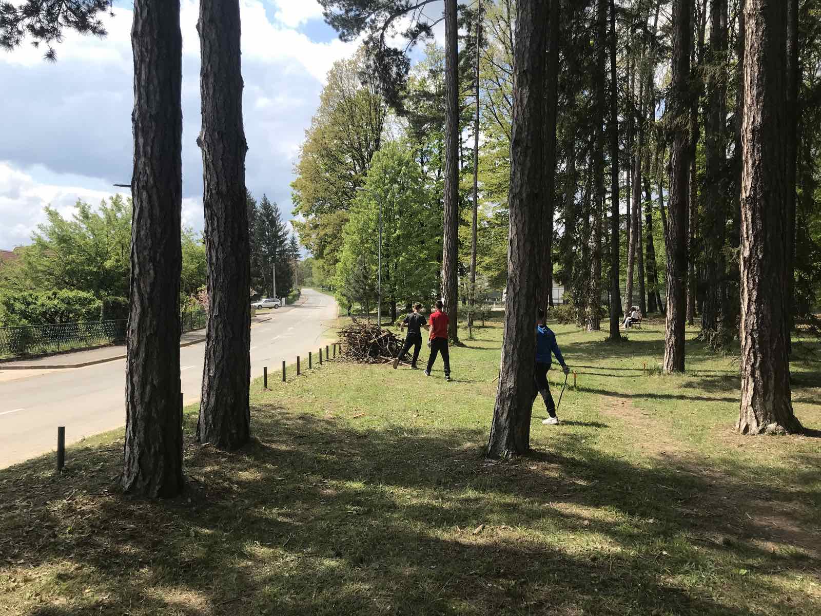 Radna i edukativna akcija u Park šumi Slatina 